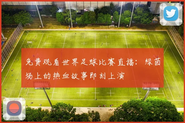免费观看世界足球比赛直播：绿茵场上的热血故事即刻上演