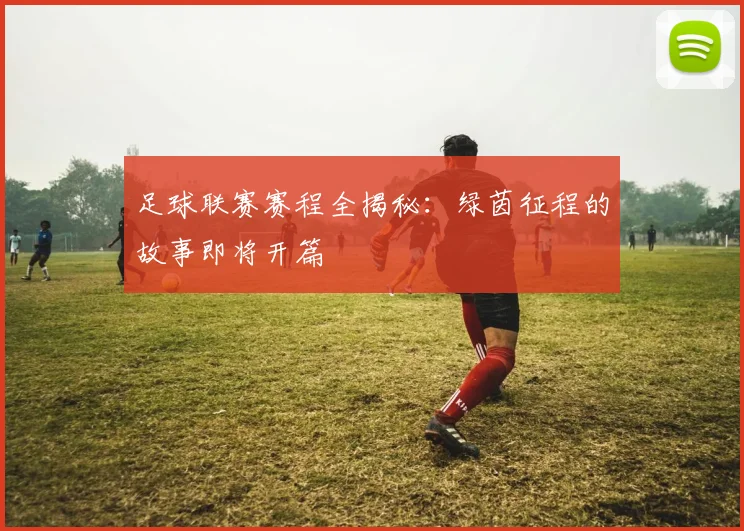 足球联赛赛程全揭秘：绿茵征程的故事即将开篇
